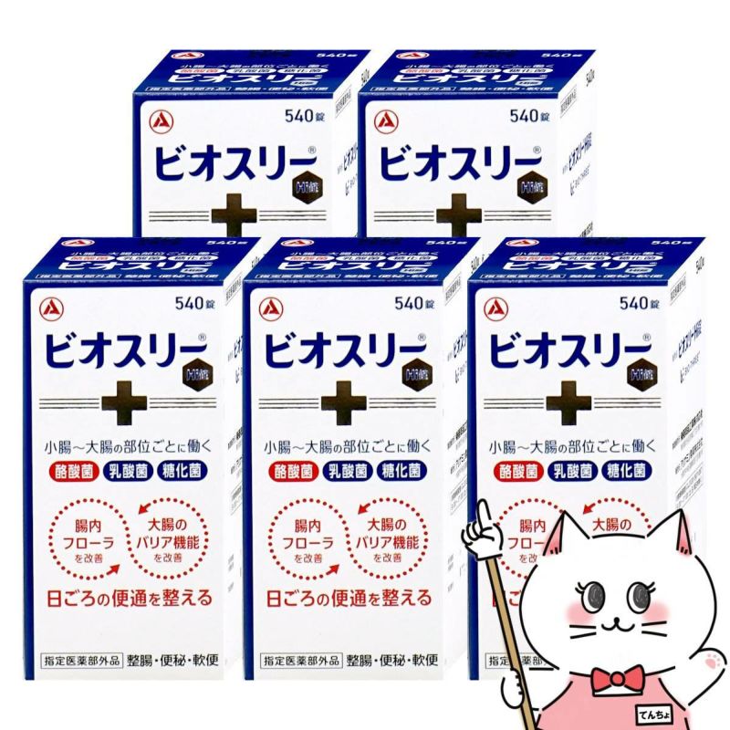 ビオスリーHi錠 540錠×5個