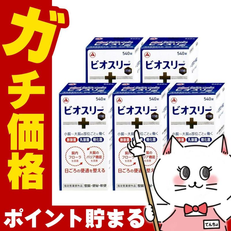 ビオスリーHi錠 540錠×5個