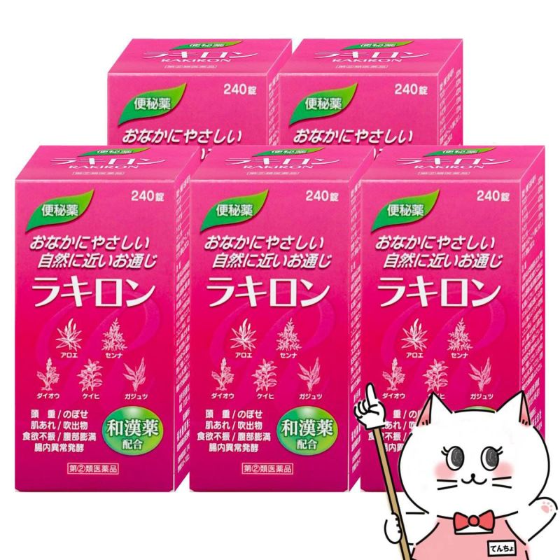 ラキロン 240錠×5個