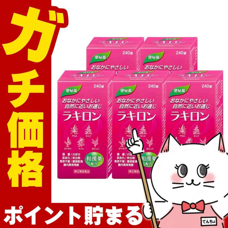 ラキロン 240錠×5個