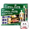 バンテリンコーワパップS 12枚×2個