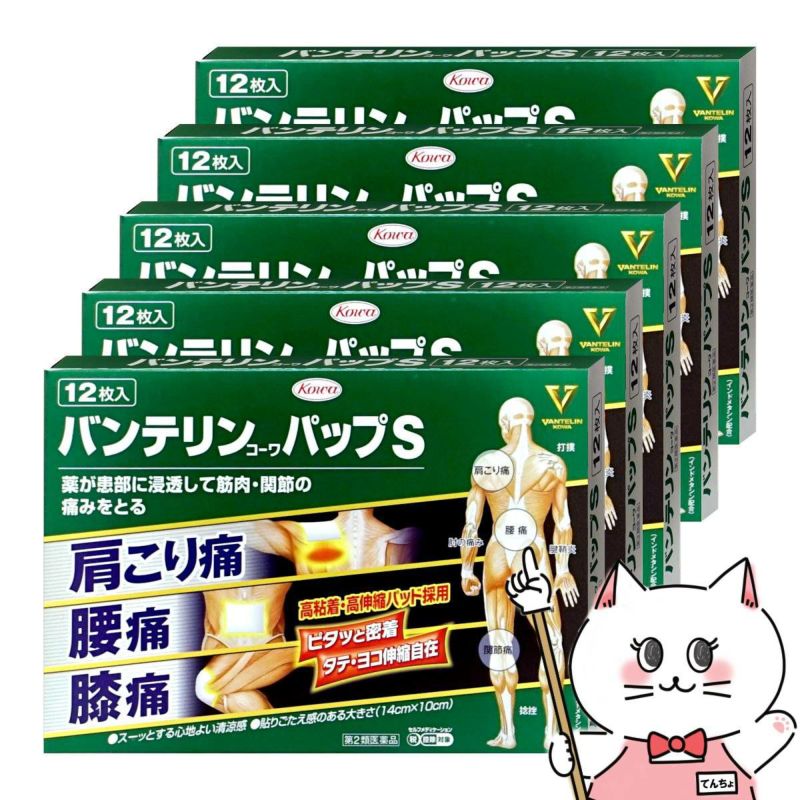 バンテリンコーワパップS 12枚×5個