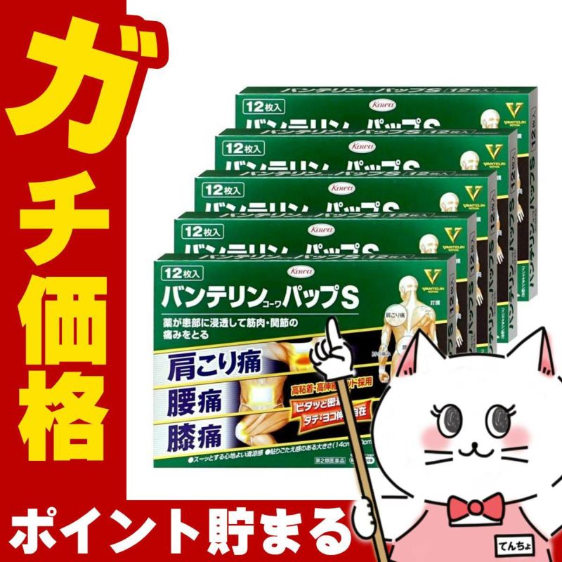 バンテリンコーワパップS 12枚×5個