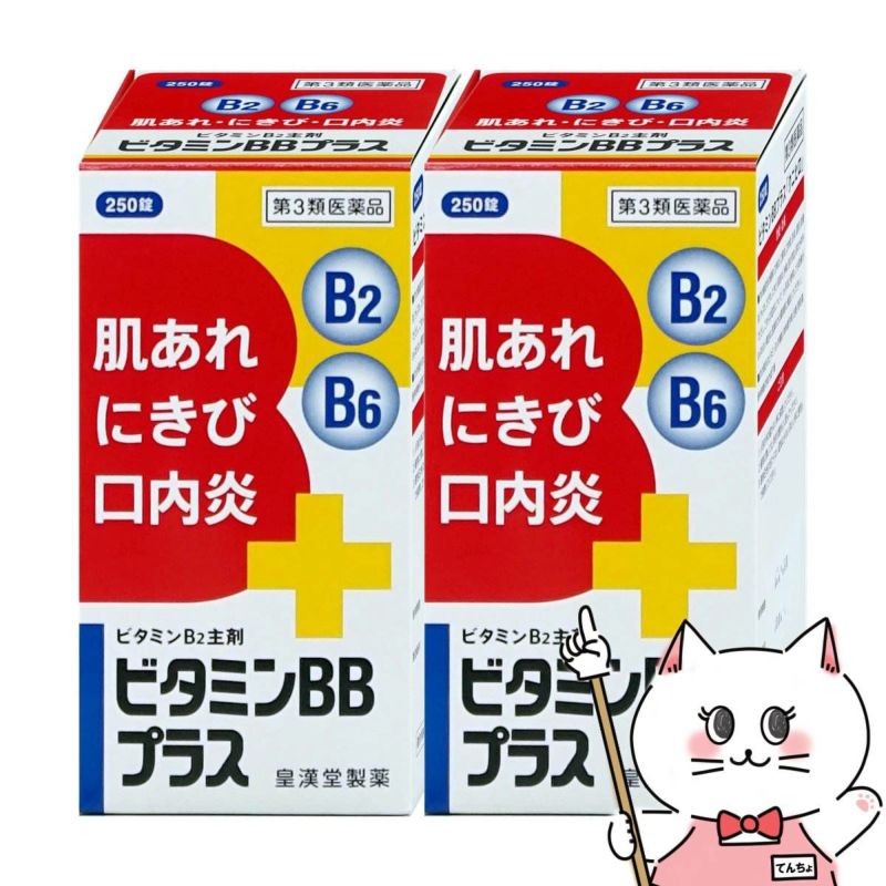 ビタミンBBプラス｢クニヒロ｣ 250錠×2個