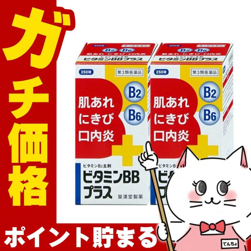 ビタミンBBプラス｢クニヒロ｣ 250錠×2個