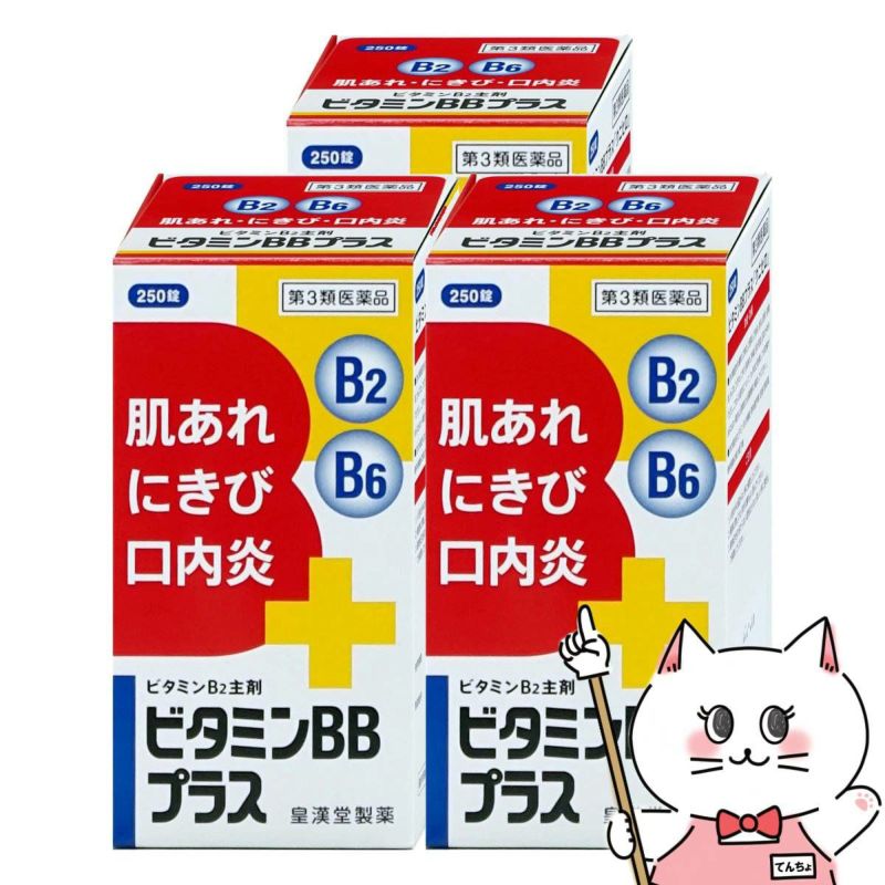 ビタミンBBプラス｢クニヒロ｣ 250錠×3個