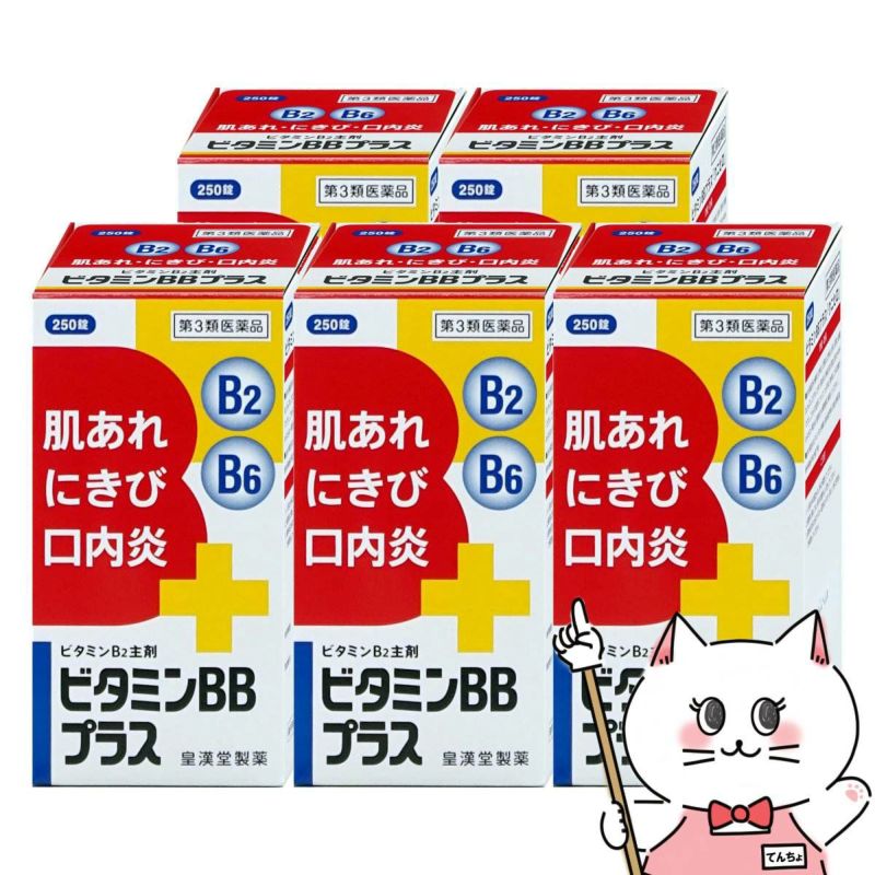 ビタミンBBプラス｢クニヒロ｣ 250錠×5個