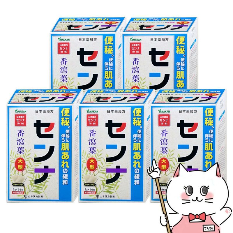 山本漢方 日本薬局方 センナ 大型 分包 (3g×96包)×5個