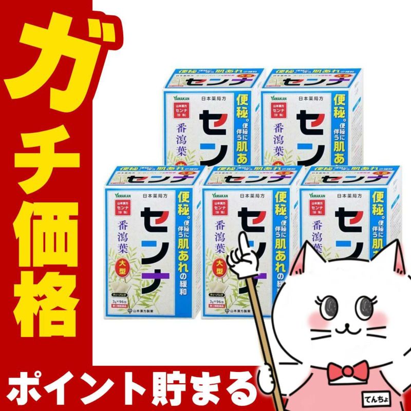 山本漢方 日本薬局方 センナ 大型 分包 (3g×96包)×5個