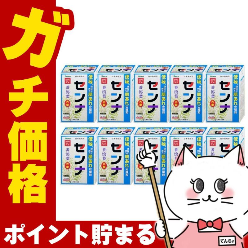 山本漢方 日本薬局方 センナ 大型 分包 (3g×96包)×10個