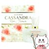ジャンヌアルテス カッサンドラジャスミンローズEDP 100ml SP(オードパルファム)