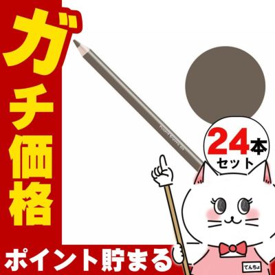 シュウウエムラ ハードフォーミュラ ハード9 ストーングレイ05×24本