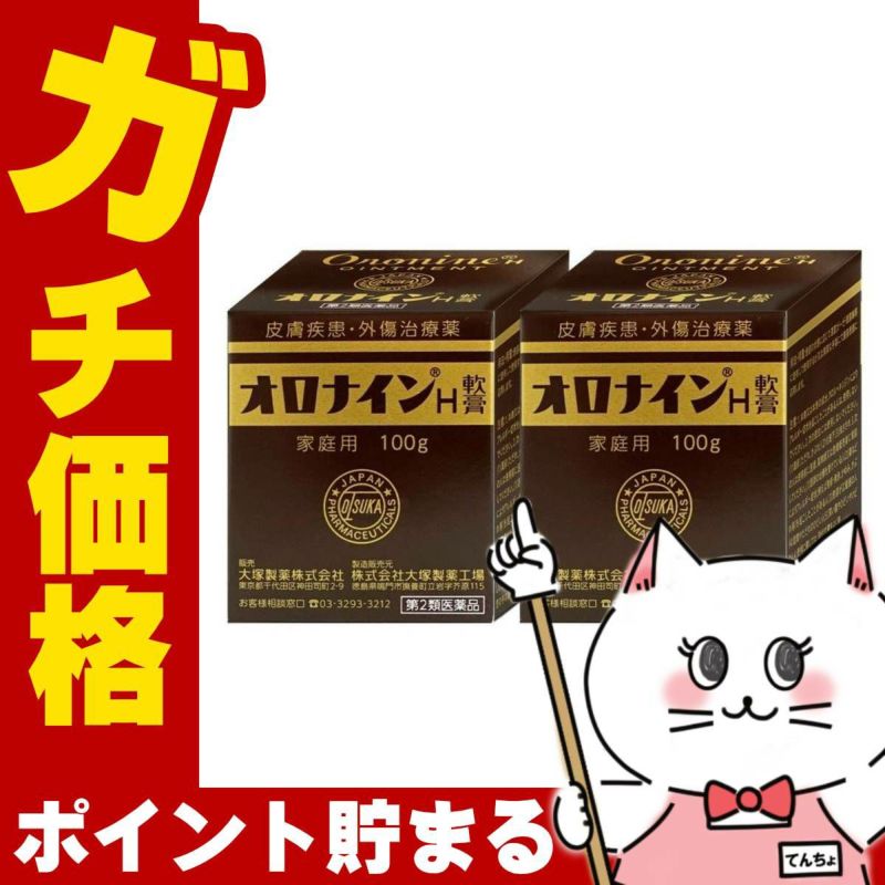 オロナインH軟膏 100g×2個