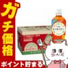 賞味期限26年1月以降 伊藤園 ヘルシールイボスティー 600ml×24本入り